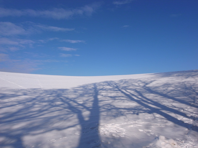 Blau
