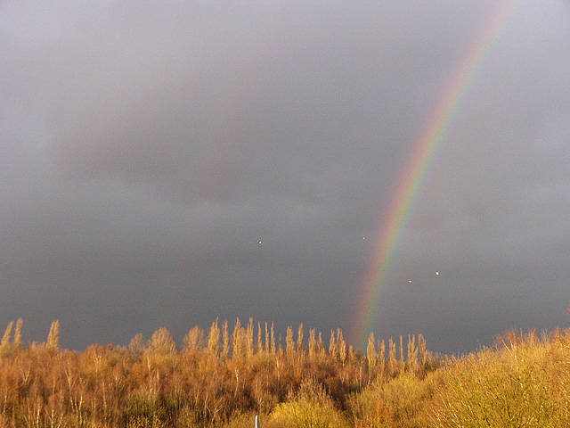 Rainbow