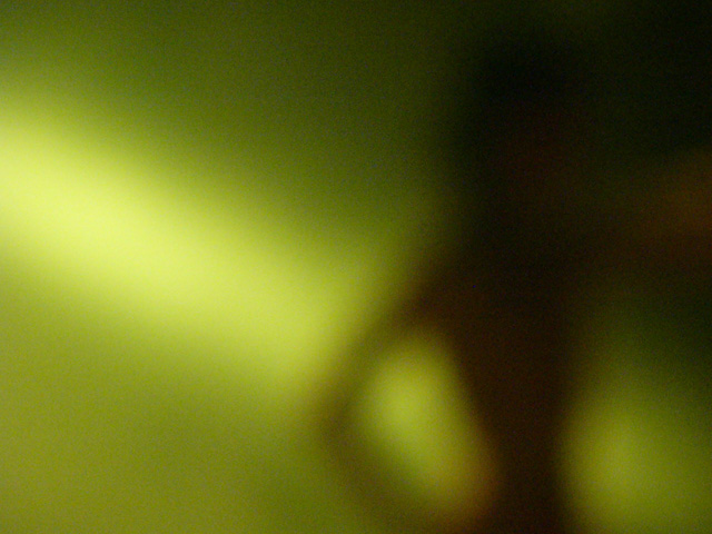 Silhouette