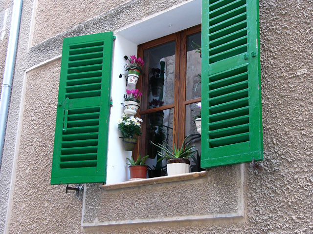 Window